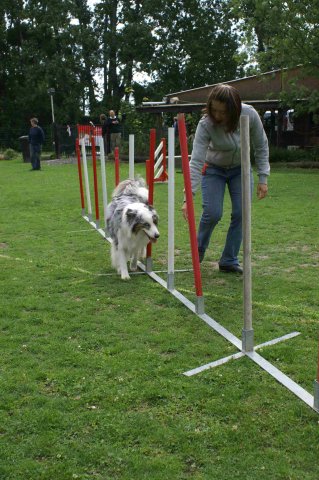 agility 2011-07-24